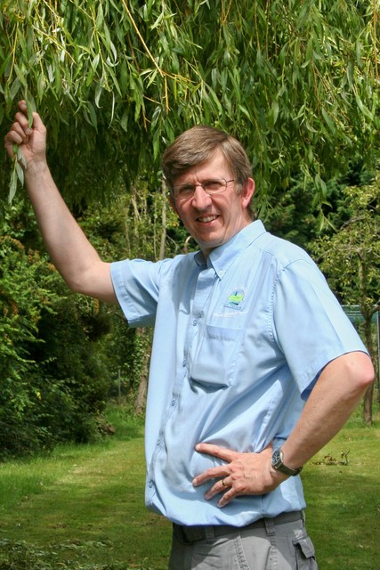 Peter deciding what to do with the willow tree